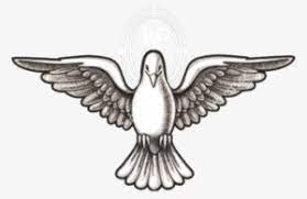 Ver más ideas sobre espiritu santo para colorear, espíritu santo, dones del espiritu. White Pigeon Marine Services 7 Dones Del Espiritu Santo Animadas Png Image Transparent Png Free Download On Seekpng