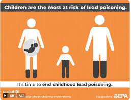 Image result for Lead Poisoning