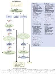 Image result for Ventricular Fibrillation Management in the Adult