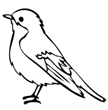 Robin Coloring Pages Best Coloring Pages For Kids Bird Coloring Pages Bird Outline Bird Drawings