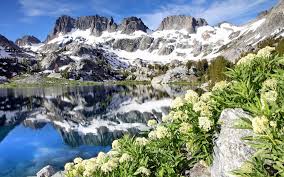 See full list on alltrails.com Wallpaper Ediza Lake Ansel Adams Wilderness California Usa Flowers Mountains 1920x1200 Hd Picture Image