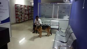 Check spelling or type a new query. Cornerstone Pet Clinic Multi Speciality Clinic In Gachibowli Hyderabad Book Appointment View Fees Feedbacks Practo
