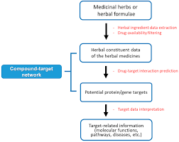 Biomolecules Free Full Text The Methodological Trends Of