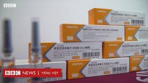 Như vậy, từ ngày 22/7 đến hết ngày 13/8, tp hồ chí minh đã tiêm được 3.399.000 người, tất cả đều tuyệt đối an toàn. Covid 19 Chung Ta Biáº¿t Gi Vá» Cac Loáº¡i Vaccine Cá»§a Trung Quá»'c Bbc News Tiáº¿ng Viá»‡t