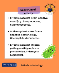 Image result for Extended Spectrum Macrolide