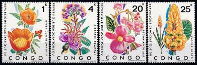 Image result for Dissotis brazzae