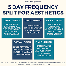 Aesthetic training routine exercises upper body workout 1. 5 Day Frequency Split For Aesthetics Body Mind Quotient