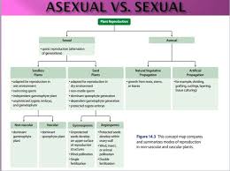 flowchart for sexual and asexual reproduction science