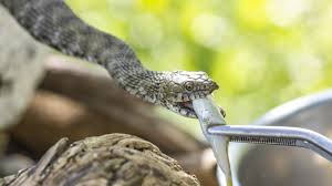 COVER REVEAL - Subscriber Wars by Kristy Marie - get ready for a wild ride