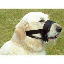 Muselières adaptées à votre besoin et au confort de votre chien. Museliere De Dressage Museliere Pour Chien Wanimo
