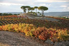 Der rassige katalane in purpurn glänzendem rot. Vega Sicilia Valbuena No 5 2015 2 Mag The Rousseau Magnum Collection Exclusive Releases From Eva Fricke Finest Rarest Wines Sotheby S