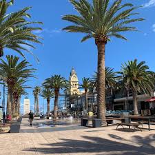 Holdfast Bay, Glenelg Ward Candidate