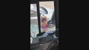 He adopted the dog that was thrown at him and named her movie. Judge Orders Woman Who Smashed Greyhound Bus Windows Held Without Bond Wltx Com