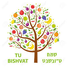 Tu b'shvat is the new year for the purpose of calculating the age of trees for tithing. Tu B Shevat Sedarim And Tree Planting What Is The Message Of Tu B Shevat Jonathan Muskat The Blogs