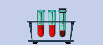 Image result for test