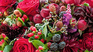 We did not find results for: Luxury Flowers Collection Flower Station Florist
