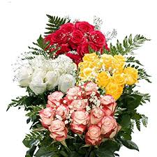 Check spelling or type a new query. Amazon Com 16 Dozen Roses Best Price Red Color Roses Greenery Fresh Cut Format Rose Flowers Grocery Gourmet Food