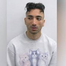 🚨NEW: Man from Britain charged by French police for 'organising a wedding  with a 9 year-old at Disneyland'. What do you think of this?