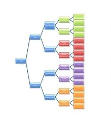 Color Coded Pedigree Chart For Family Folders Jennifer