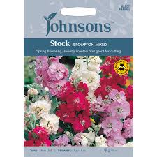 ✓ free for commercial use ✓ high quality images. Pack Of Brompton Mixed Stock Flower Seeds