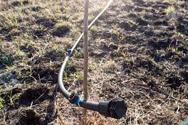 Use them in commercial designs under lifetime, perpetual. The Initial Part Of The Hose Drip Irrigation With Cap And Thread For Drip Irrigation Of Young Fruit Trees One Fruit Tree From Which The Water Hose For Drip Irrigation Stock Photo Picture