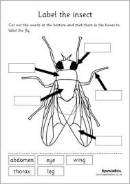 Pin On Mfw Kindergarten