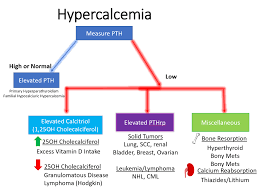 Image result for Hypercalcemia