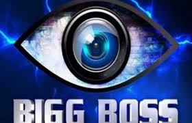 Bigg Boss Season 13 Audition Registration 2019 Commoners Entry In Bb 13 Voot 2:51 krishan yadav wrestler 433.