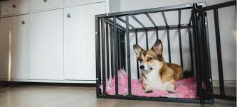 'crate training' a dog, is the process of teaching a puppy or dog to relax and feel comfortable in a dog crate or dog cage. Crate Training Your Puppy Petplace