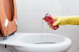 While it is easy to clean, it can be scratched using the wrong tools and supplies. 10 Weird Toilet Cleaning Tips And Fixes