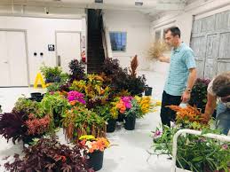 We did not find results for: Michigan Flower Growers Cooperative