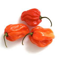 We did not find results for: Scotch Bonnet Peppers Price Per Kg Cafe Supply