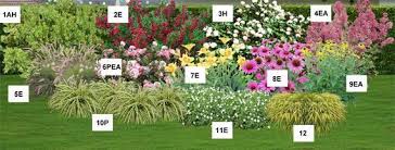 massif de soleil mi ombre 1 presentation jardinerie jardinage balcon arbres et arbustes