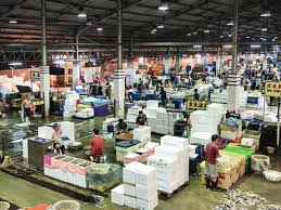 On friday (16 jul), moh announced that jurong fishery port (jfp), the largest of its kind in singapore, will be closed till 31 jul after 6 new. Bj2h8o9w8zvshm