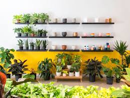 We did not find results for: Austin S 16 Best Gardening Stores Curbed Austin