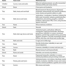 Image result for Eriosema rhynchosioides