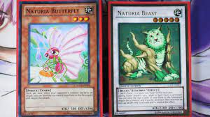 Naturia monsters are composed of various types, but all of them are related to forest life (much like sylvan, albeit different), such as plants, insects, rocks, a few beasts, and even a dragon.their effects center around limiting, or gaining advantages from, the. Yugioh Best Naturia Deck Profile Pure Naturia Deck Fun Budget Deck Under 50 Youtube
