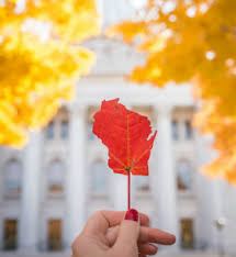 Check spelling or type a new query. Wisconsin Fall Colors Fall Activities Travel Wisconsin