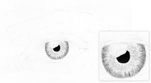 2 days ago · you will need a pencil for drawing, ruler or squads, erase or eraser and a couple of sheets, one a4 or letter size and the other one that is bigger than this one. How To Draw A Realistic Eye