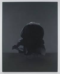 Bildergebnis für Tim Eitel