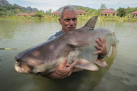 Android latest 3.1.5 apk download and install. River Monsters 1080p 2k 4k 5k Hd Wallpapers Free Download Wallpaper Flare