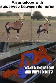 You Had My Curiosity Now You Have My Attention Memes