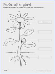 Label And Color The Parts Of A Plant A Free Printable First Grade Image Below Parts Of A Plant Worksheet Parts Of A Plant Parts Of A Flower Plants Worksheets