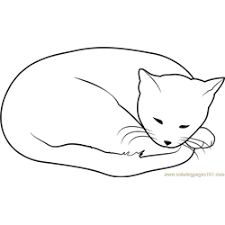 Even though each species has its own distinct looks and characteristics. Cats Coloring Pages For Kids Download Cats Printable Coloring Pages Coloringpages101 Com