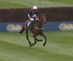 Aintree horse Get on George is put down on Grand National day just 24 hours  after Gold Dancer's tragic death | Daily Mail Online