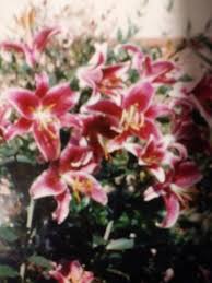 Harold Cope (1922-1995)