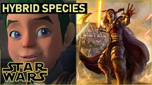 Hybrid Species (Star Wars Fact #44)