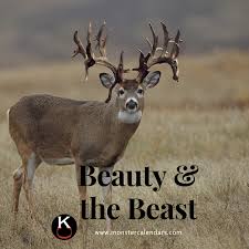 Meticulously Re Created Back Into Live Form There Is Only One Calendar That Is Recognized For Being The Very B Whitetail Deer Pictures Deer Pictures Mule Deer