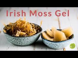 I was impressed and very proud of if this is your first time making irish sea moss gel, i recommend to start off small. How To Make Irish Sea Moss Gel 2019 Video Pdf