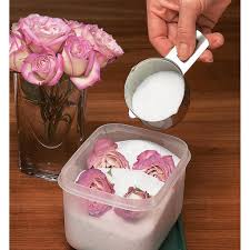 Great for preserving flowers, herbs, bouquets, corsages, boutonnieres, wreaths, and seeds. 1kg Reusable Preserve Flowers Flower Drying Silica Gel Crystals Shopee Philippines
